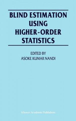 Blind Estimation Using Higher-Order Statistics