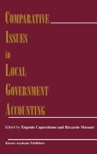 Comparative Issues in Local Government Accounting