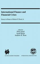 International Finance and Financial Crises