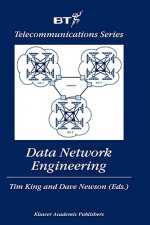 Data Network Engineering