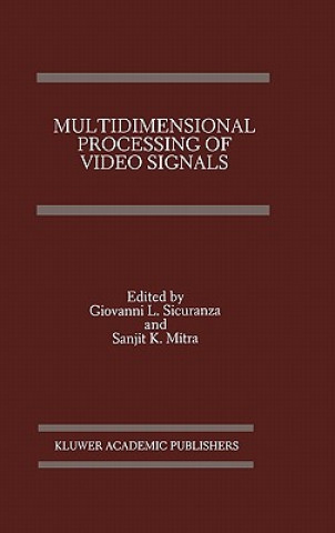 Multidimensional Processing of Video Signals