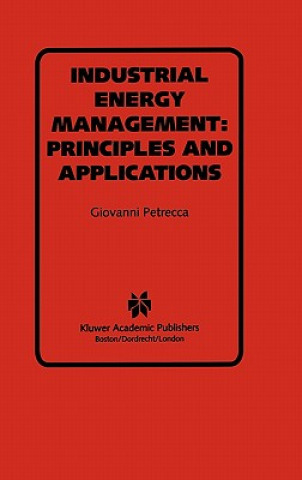 Industrial Energy Management: Principles and Applications