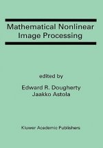 Mathematical Nonlinear Image Processing