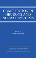 Computation in Neurons and Neural Systems