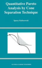 Quantitative Pareto Analysis by Cone Separation Technique
