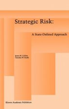 Strategic Risk