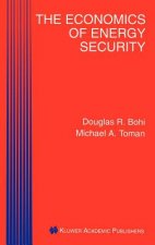 Economics of Energy Security