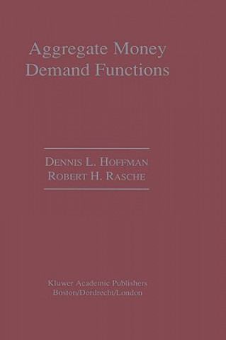 Aggregate Money Demand Functions
