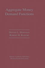 Aggregate Money Demand Functions