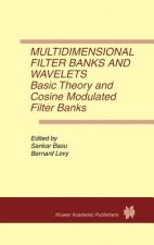 Multidimensional Filter Banks and Wavelets