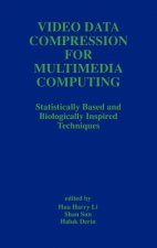 Video Data Compression for Multimedia Computing