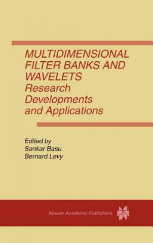 Multidimensional Filter Banks and Wavelets