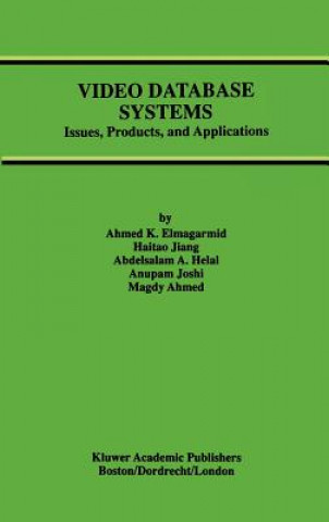 Video Database Systems