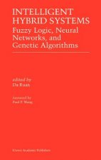Intelligent Hybrid Systems