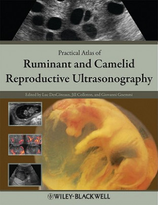 Atlas of Ruminant and Camelid Reproductive Ultrasonography