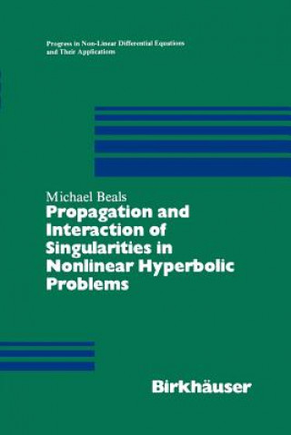 Propagations and Interactions of Singularities