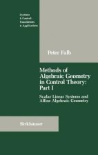 Methods of Algebraic Geometry in Control Theory: Part I