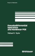 Pseudodifferential Operators and Nonlinear PDEs