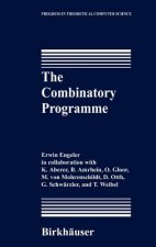 The Combinatory Programme