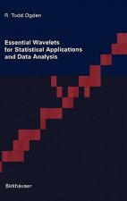 Essential Wavelets for Statistical Applications and Data Analysis