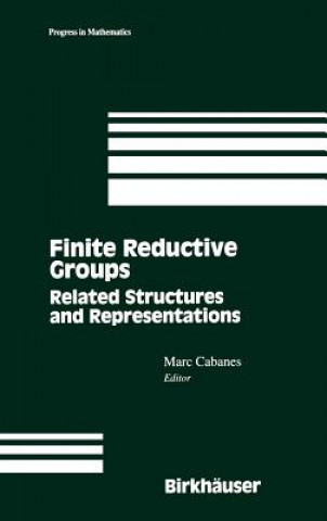 Finite Reductive Groups: Related Structures and Representations
