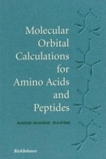 Molecular Orbital Calculations for Amino Acids and Peptides