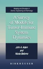 A Survey of Models for Tumor-Immune System Dynamics