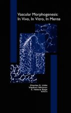 Vascular Morphogenesis: In Vivo, In Vitro, In Mente