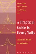 A Practical Guide to Heavy Tails