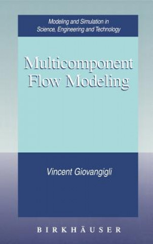 Multicomponent Flow Modeling