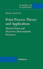 Point Process Theory and Applications