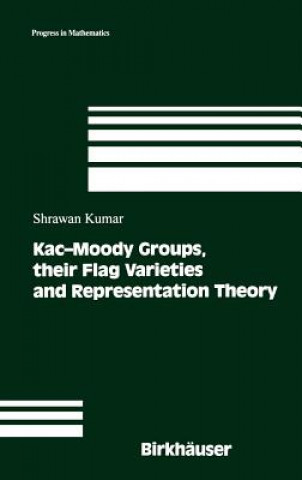 Kac-Moody Groups, their Flag Varieties and Representation Theory