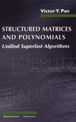 Structured Matrices and Polynomials