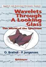 Wavelets Through a Looking Glass