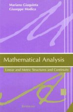 Mathematical Analysis, Linear and Metric Structures, Continuity