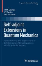 Self-adjoint Extensions in Quantum Mechanics