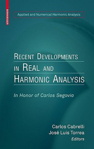 Recent Developments in Real and Harmonic Analysis