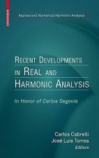 Recent Developments in Real and Harmonic Analysis