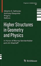Higher Structures in Geometry and Physics