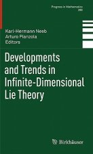 Developments and Trends in Infinite-Dimensional Lie Theory