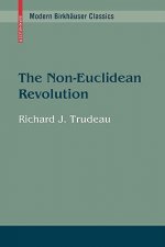 Non-Euclidean Revolution