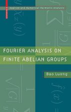 Fourier Analysis on Finite Abelian Groups