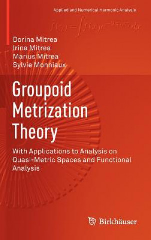Groupoid Metrization Theory