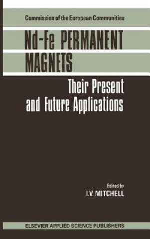 Nd-Fe Permanent Magnets