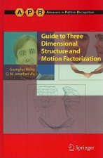 Guide to Three Dimensional Structure and Motion Factorization