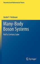 Many-Body Boson Systems