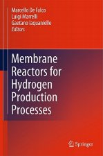 Membrane Reactors for Hydrogen Production Processes