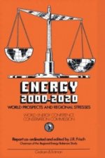 Energy 2000-2020: World Prospects and Regional Stresses