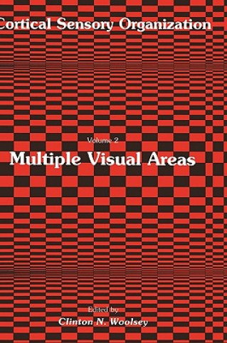 Multiple Visual Areas