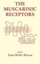 Muscarinic Receptors